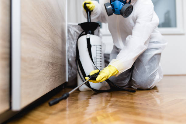 Best Pest Control Near Me in West Park, CA