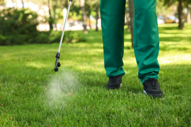 Insect Control in West Park, CA