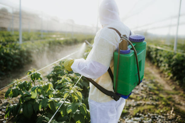 West Park, CA Pest Control Company